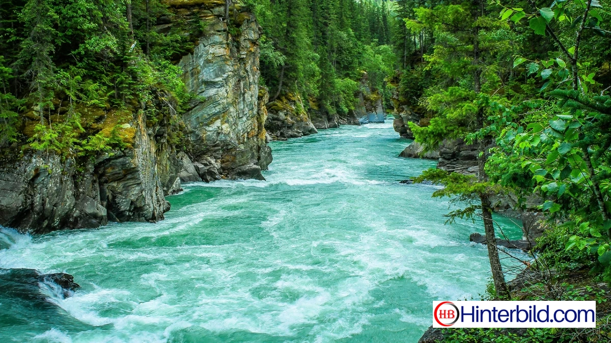 Fluss im Wald - Hintergrundbild