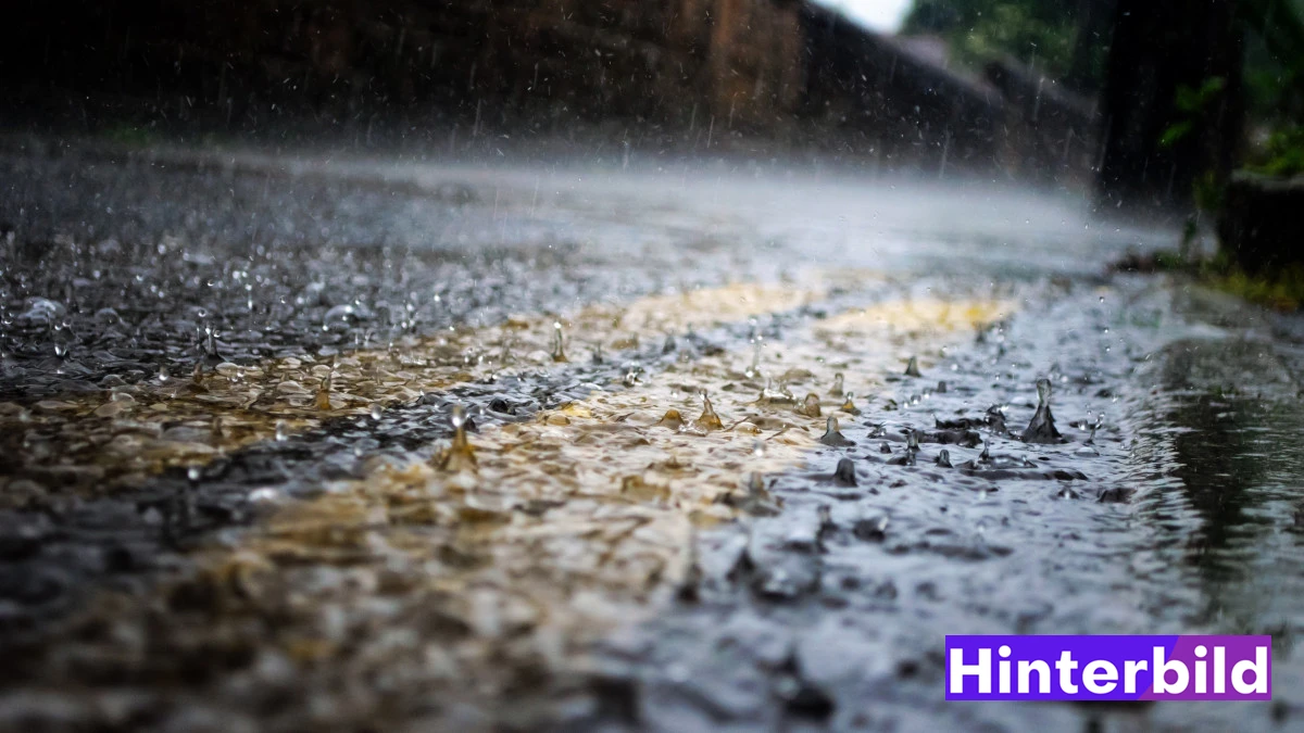 Regen und Regentropfen - Hintergrundbild