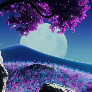 Aesthetic