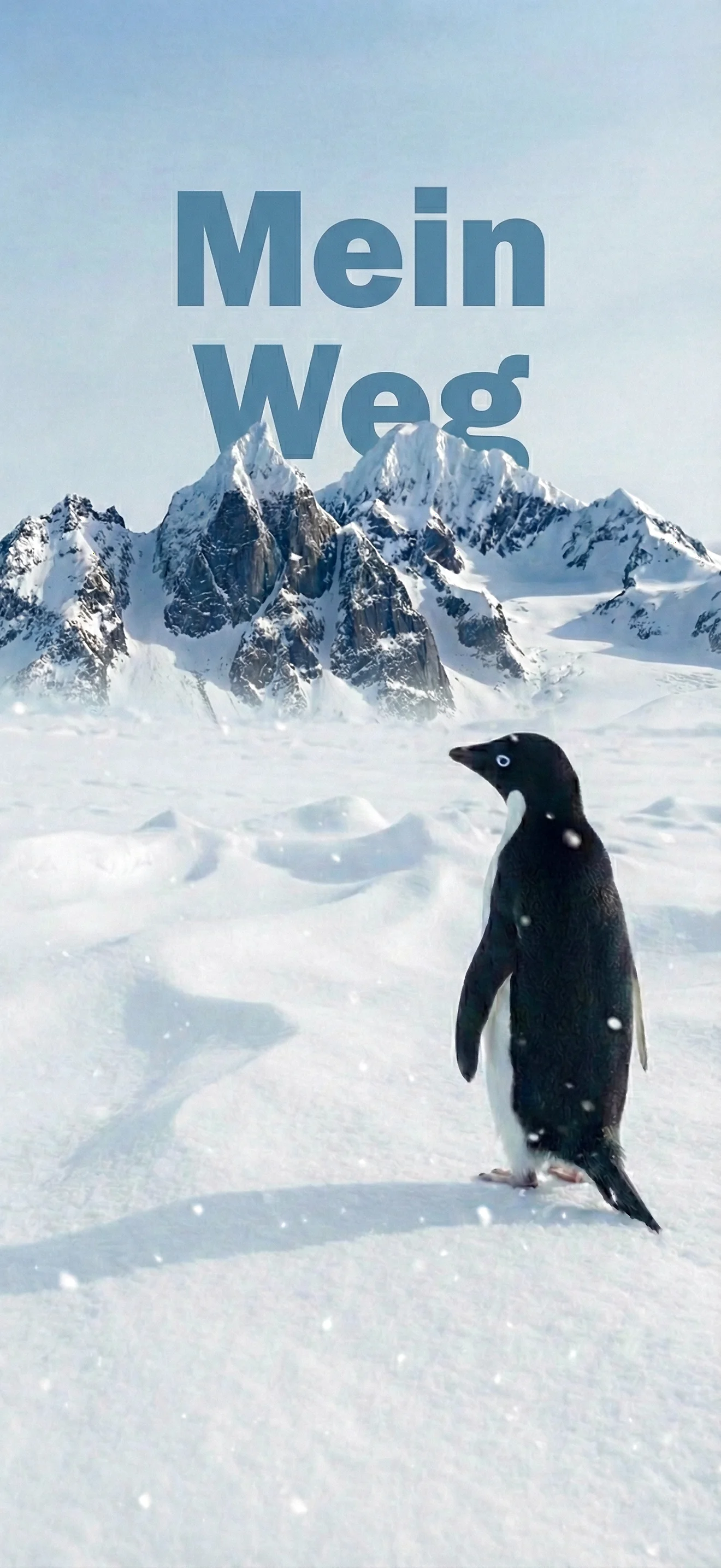 Nihilistischer Pinguin wallpaper