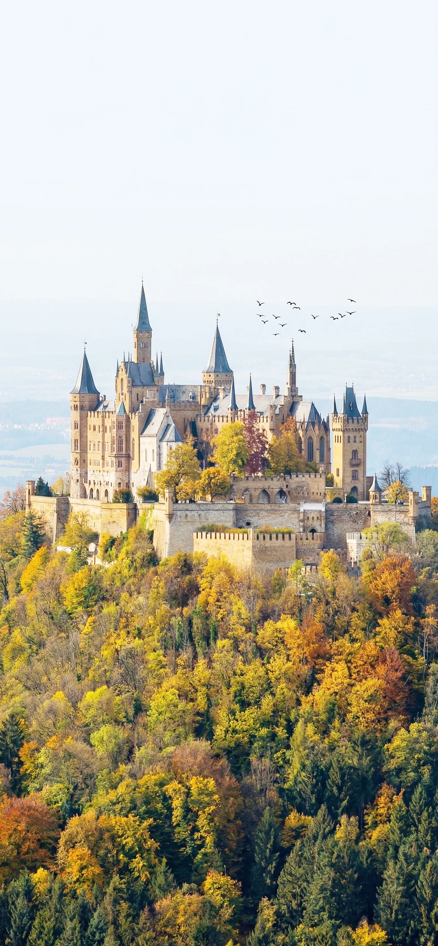 Schloss Hintergrundbilder Handy – Märchenhaftes Schloss 4K Wallpaper