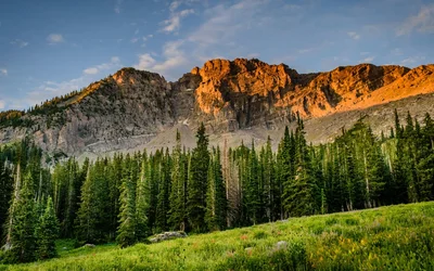 Beeindruckende Wald- und Berglandschaft Unter Mystischen Wolken