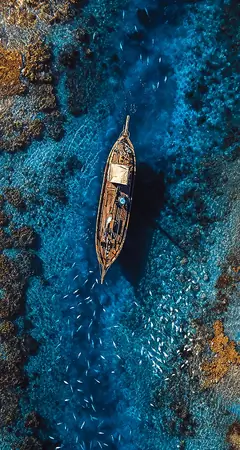 Boot im klaren Meer von oben mit Fischen und Korallen als iPhone Hintergrundbild