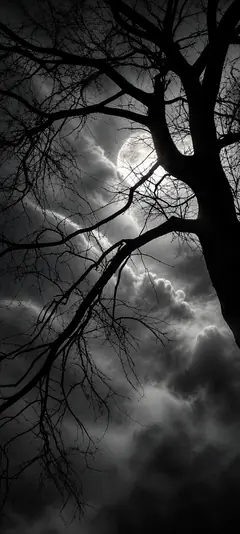 Vollmond hinter dunklen Wolken und kahlen Baumästen in Schwarz-Weiß als mystisches Hintergrundbilder