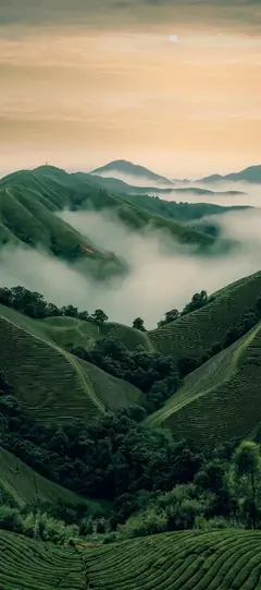 Grüne Berglandschaft mit Nebel zwischen Hügeln als 4K Handy Hintergrundbild