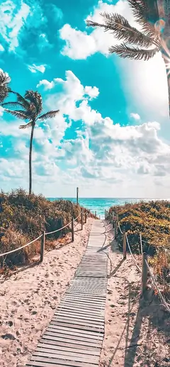 Tropischer Strandweg mit Palmen, blauem Himmel und Meer – ruhiges Natur Hintergrundbild für iPhone Wallpaper in hoher Auflösung