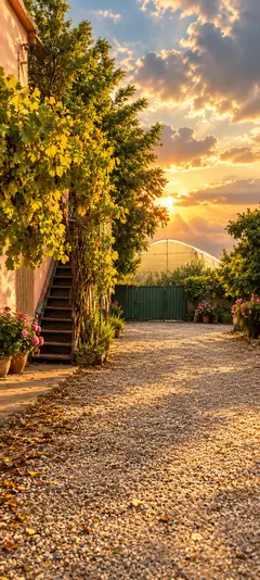 Ländlicher Gartenweg mit grünen Pflanzen, Blumen, Hausfassade und goldenem Sonnenuntergang als Natur Hintergrundbild
