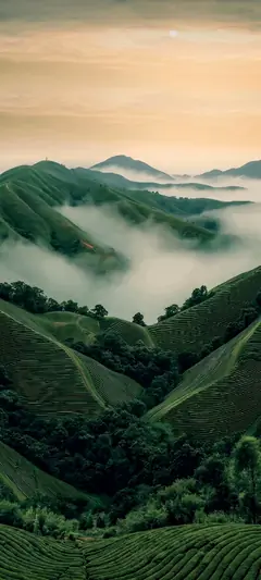 Grüne Berge mit sanftem Nebel und ruhiger hintergrundbilder Naturstimmung.