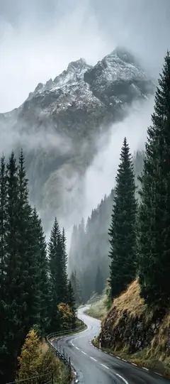 nebelige berglandschaft mit wald und kurviger straße als natur hintergrundbilder und kostenlose hintergrundbilder 4k für iphone.