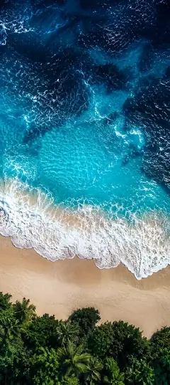 Sommer Strand Hintergrundbild mit türkisblauem Meer, weißen Wellen, Sandstrand und grünen Palmen als Handy Wallpaper.