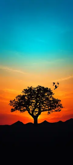 Sonnenuntergang Hintergrundbild mit Baum-Silhouette, orange blauem Himmel und fliegenden Vögeln als Handy Wallpaper.