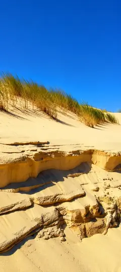 goldene sanddünen unter blauem himmel als sommer hintergrundbilder und iphone hintergrundbilder in 4k.