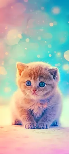 Niedliches flauschiges Katzenbaby mit blauen Augen vor weichem Pastellhintergrund.