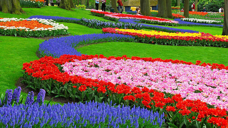 hintergrundbilder pc 4k bunte blumen frühling wallpaper kostenlos