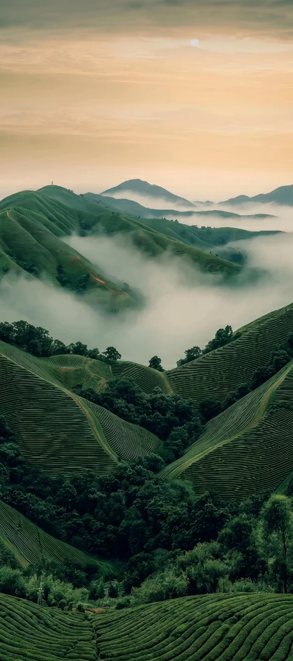 Grüne Berglandschaft mit Nebel zwischen Hügeln als 4K Handy Hintergrundbild