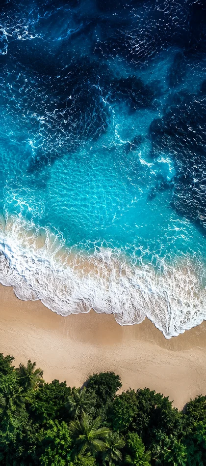 Sommer Strand Hintergrundbild mit türkisblauem Meer, weißen Wellen, Sandstrand und grünen Palmen als Handy Wallpaper.
