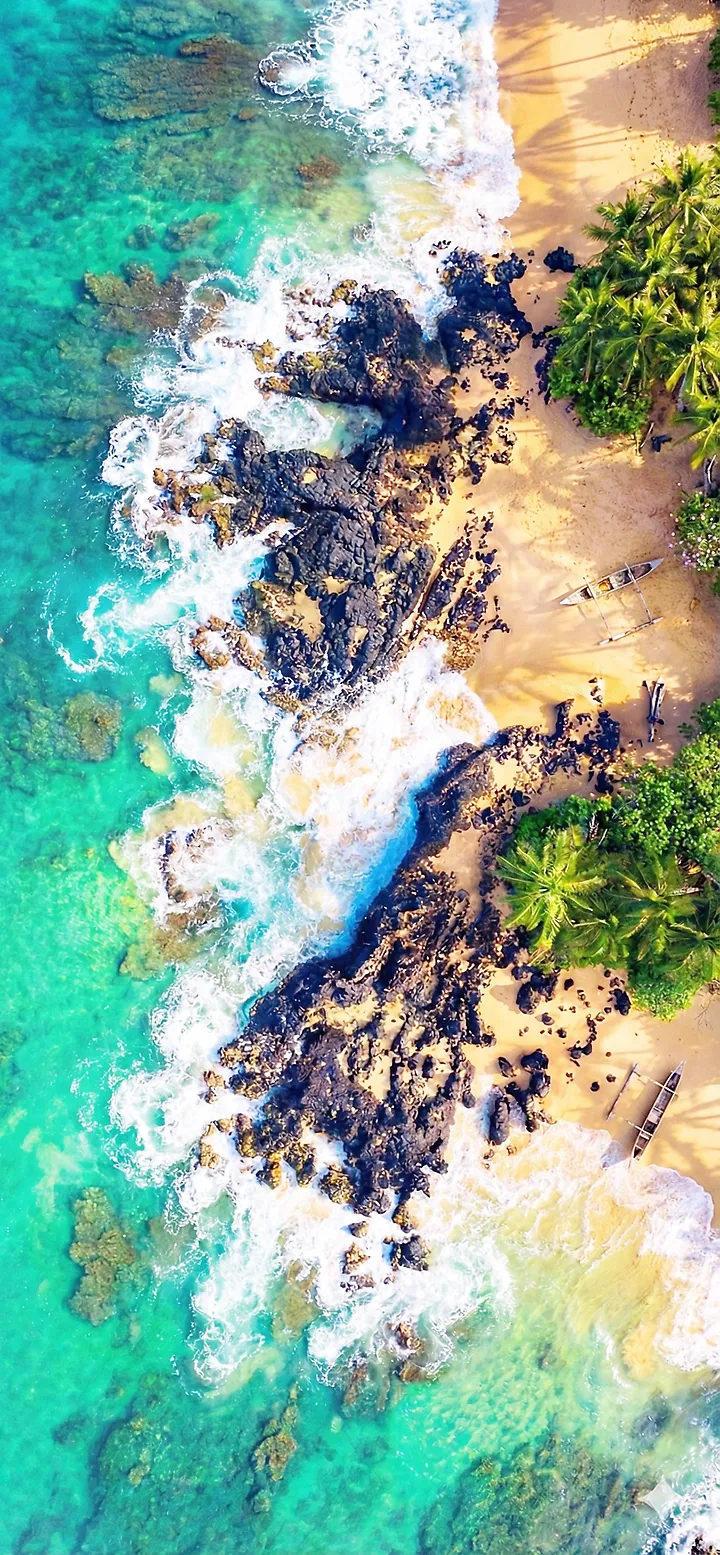 Blaues Meer und Bäume Wallpaper - Natur Hintergrundbild