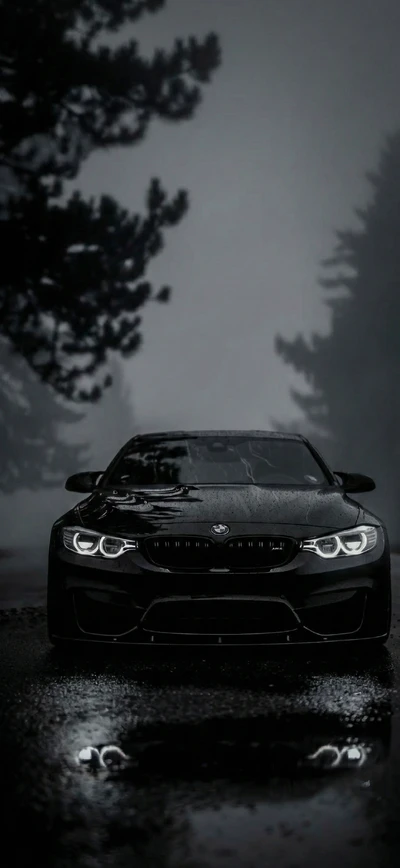 Frontansicht eines schwarzen BMW M4 Sportwagens auf nasser, dunkler Straße.