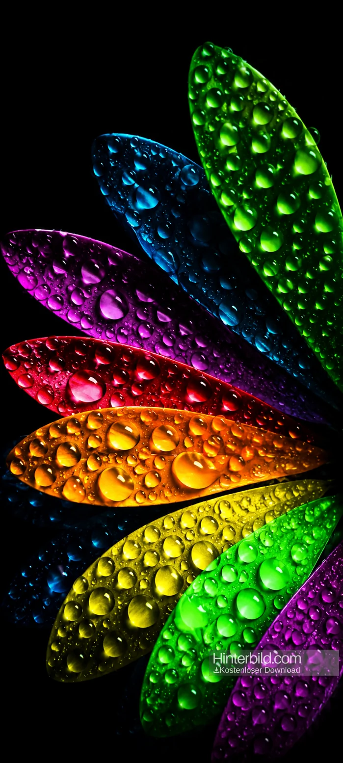 buntes amoled neon wallpaper mit wassertröpfchen und leuchtenden farben als iphone hintergrundbilder in 4k.