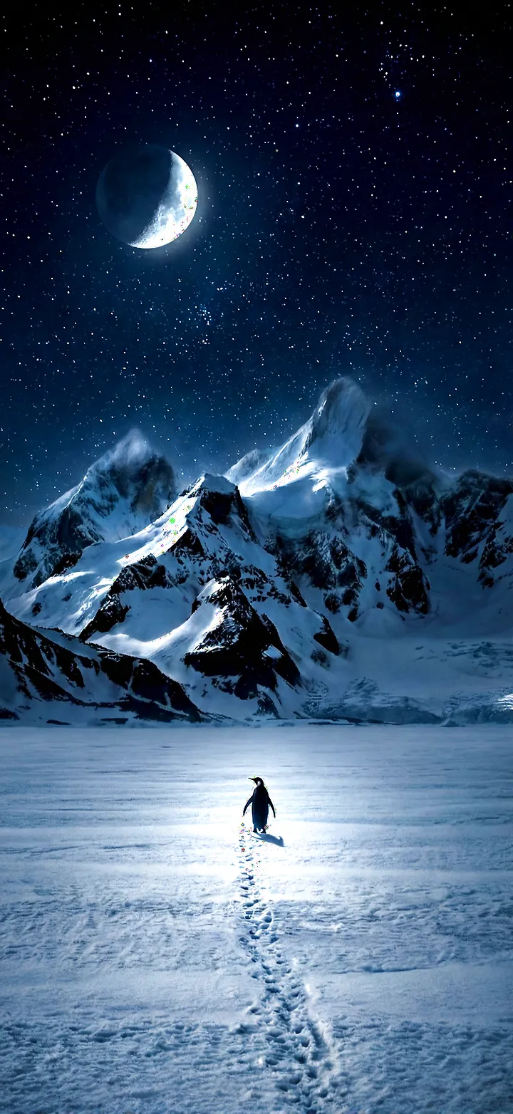 Der Wanderer unter den Sternen: Der nihilistische Pinguin in der ewigen Nacht