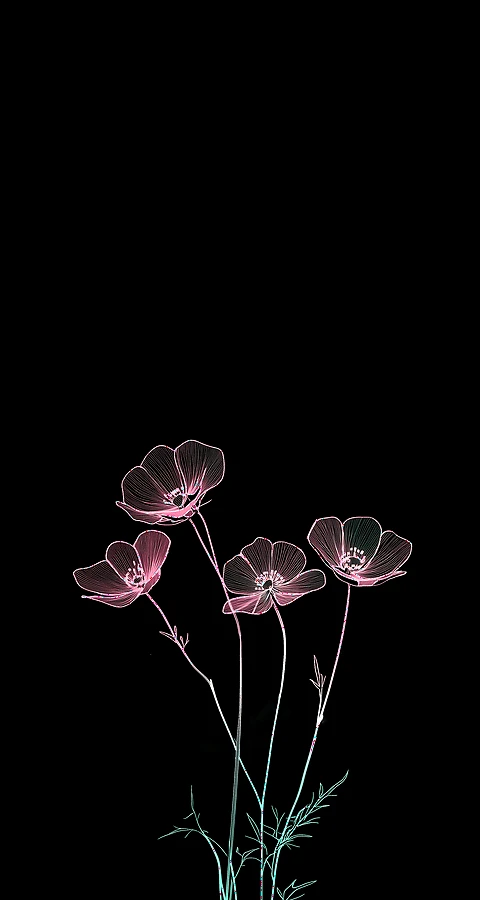 iPhone Hintergrundbilder 4K – Minimal Blumen Neon Design