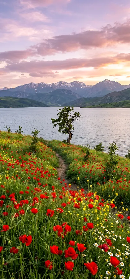 Mohnblumen am Bergsee – Natur Handy Hintergrundbild in 4K