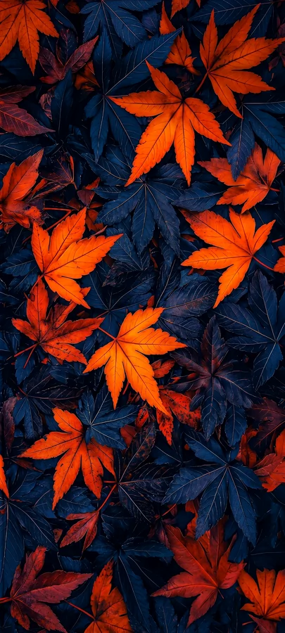 Orange Herbstblätter Schwarz Hintergrundbild