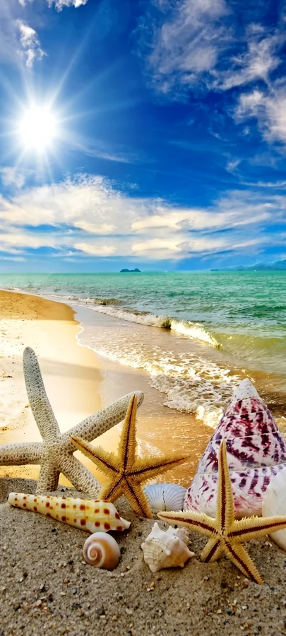 Sonniger Strand mit Muscheln, Seesternen und türkisblauem Meer in tropischer hintergrundbilder sommer Atmosphäre in 4K.