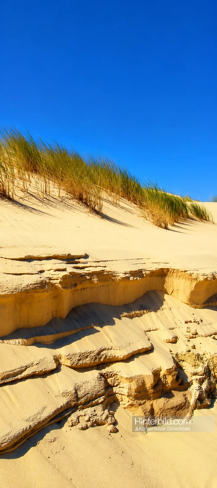 Strand Dünen Hintergrundbild 4K