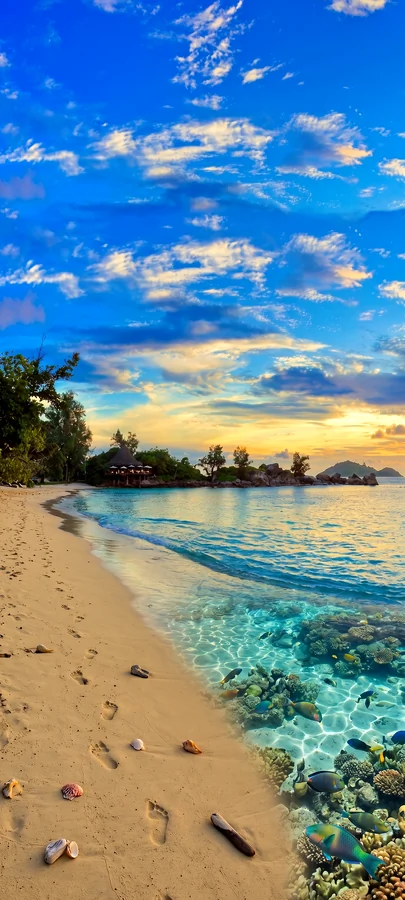 Tropischer Sandstrand mit türkisblauem Meer und blauem Himmel in entspannter hintergrundbilder sommer Atmosphäre in 4K.