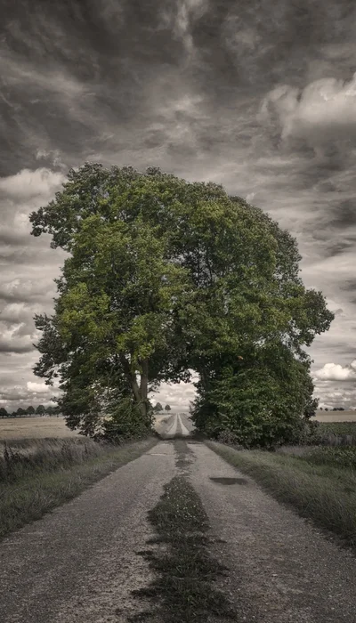 Weg, Bäume und Wolken Schlichtes iPhone Hintergrundbild in 4K kostenlos