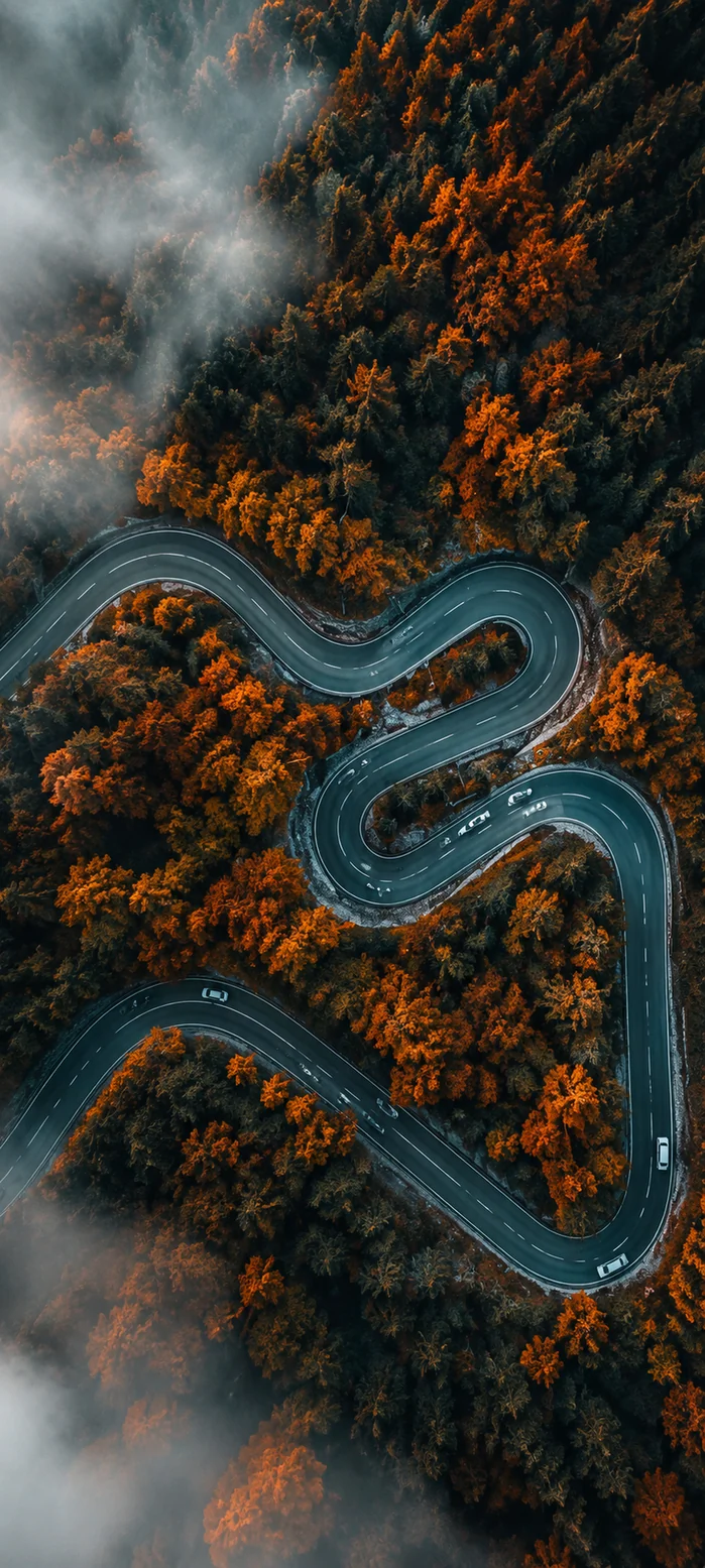 WhatsApp Hintergrundbilder Herbst – Dunkle Wald Straßen Wallpaper in 4K