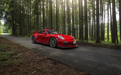 Roter Porsche 911 im Wald