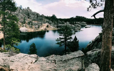 See Mit Grünen Laubbäumen