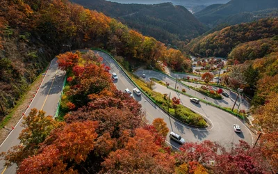 Straße durch den Wald
